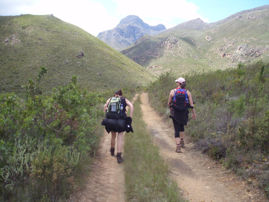 Hermanus Backpackers & Budget Accommodation Bagian luar foto
